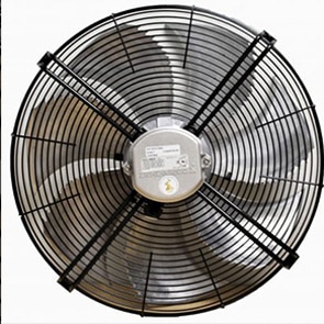 Fans